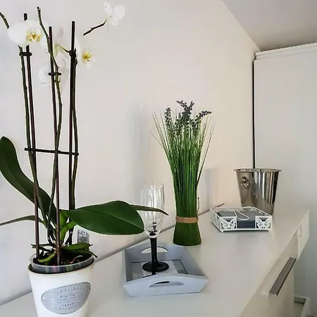 Luksusowe W Centrum Szczecina Apartment