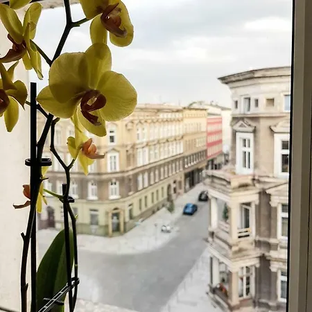 Luksusowe W Centrum Szczecina *